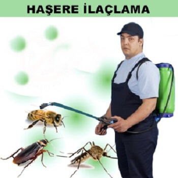 Tillo Böcek İlaçlama
